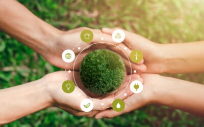 Sustainability